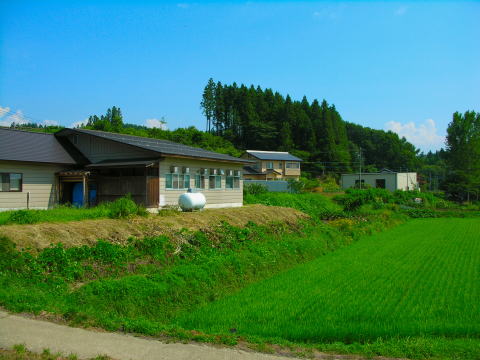 相模原・町田・八王子で農地の転用許可や届出、売買や賃貸に関しては行政書士村山法務コンサルタントへ